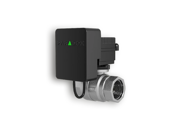 Paradox WV2M